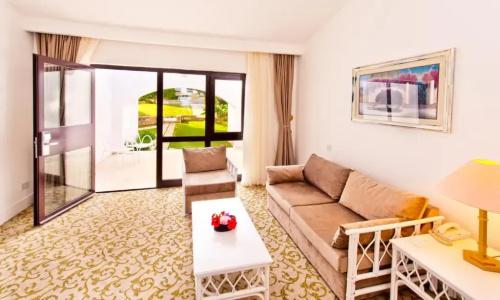 The Olive Tree - 7