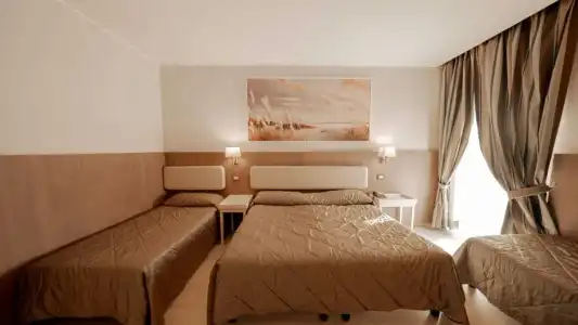 Mirasole International - 53