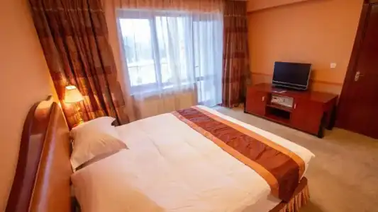 Ramada Plaza By Wyndham Gence - 106