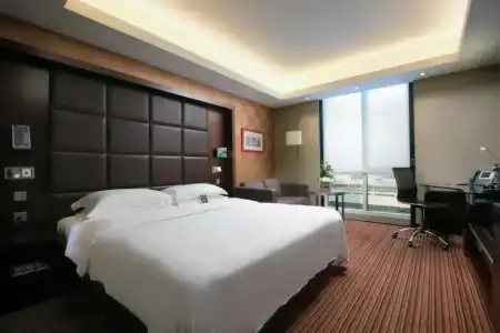 Radisson Blu, Media City - 56