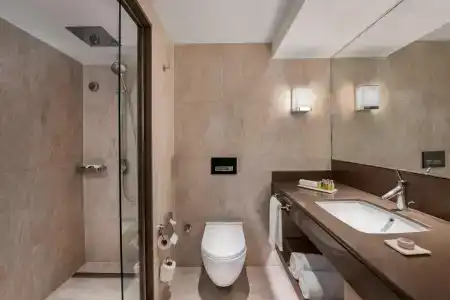 Renaissance Polat Istanbul - 52