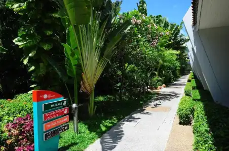 Patong Resort - 38