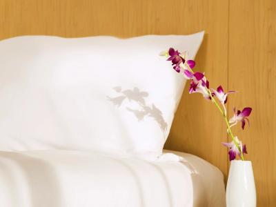 Ibis One Central - 45