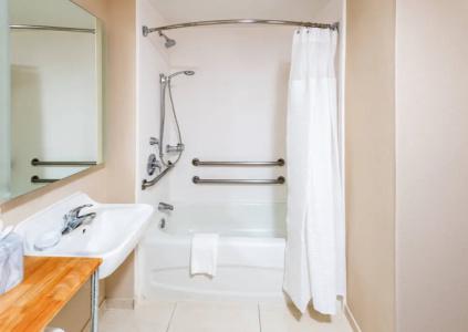 SpringHill Suites Houston Medical Center/NRG Park - 37