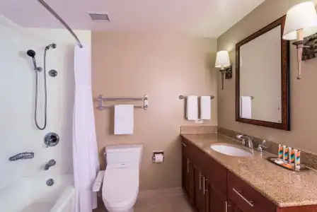 Hilton Grand Vacations Club at Hilton Hawaiian Village - 102