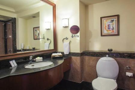 Park Prime Jaipur - 7