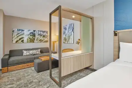 SpringHill Suites by Marriott Chicago Chinatown - 43