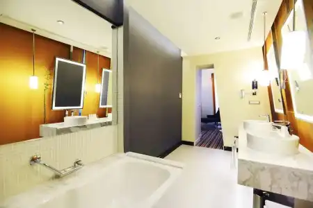 Radisson Blu - 88