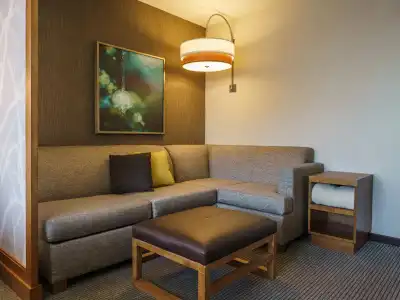 Hyatt Place Houston/Galleria - 42