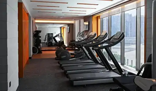 Revier - Dubai - 18