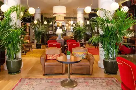 Browns Boutique - 23