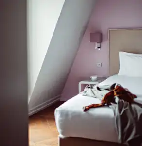 Monsieur Cadet Hôtel & Spa - 40