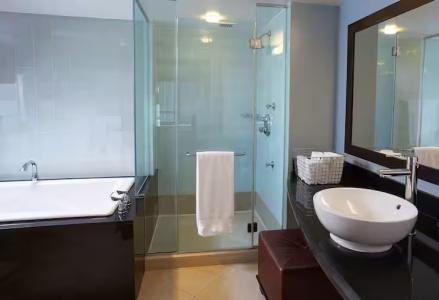 The Hilton Club - New York - 37