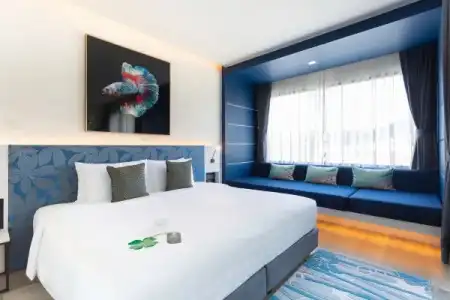 Clover Patong - 67