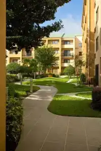 Courtyard Orlando International Drive/Convention Center - 21