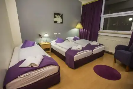 The Capital-Inn - 55