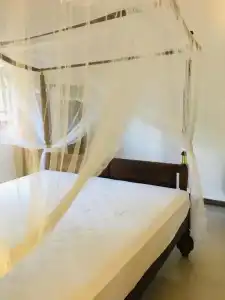 Ocean View - 49