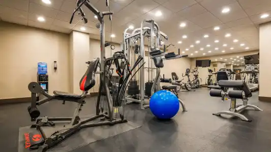 Best Western Naples Plaza - 19