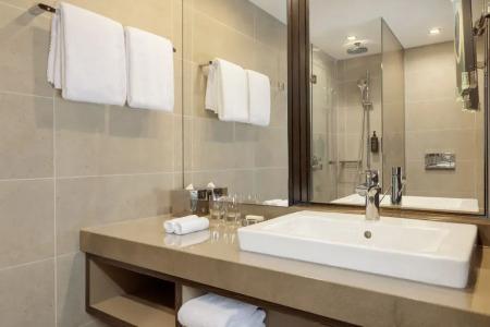 Sheraton Grand Metechi Palace - 52