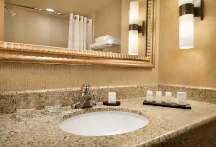 Embassy Suites by Hilton E Peoria Riverfront Conf Center - 40