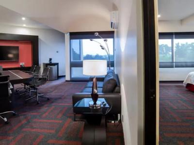 Holiday Inn Mexico Dali Airport by IHG - 67