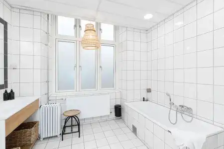 Ibsens - 65