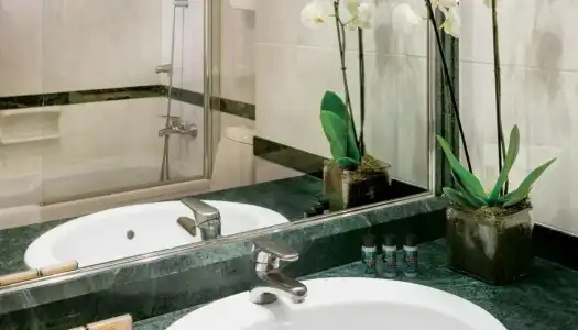 Divani Palace Acropolis - 47