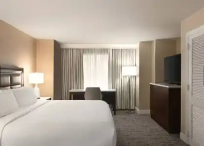 Hilton Tampa Downtown - 81