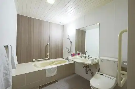 Sotetsu Fresa Inn Nihombashi Kayabacho - 38