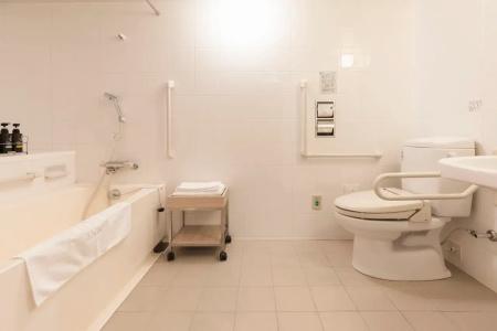 Sotetsu Fresa Inn Tokyo-Kyobashi - 43