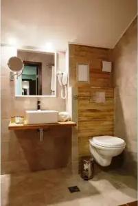 Casa Karina Bansko - Wellness & Ski - 93