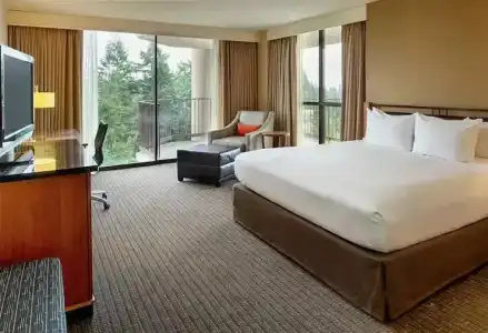 DoubleTree by Hilton Seattle Airport - 45