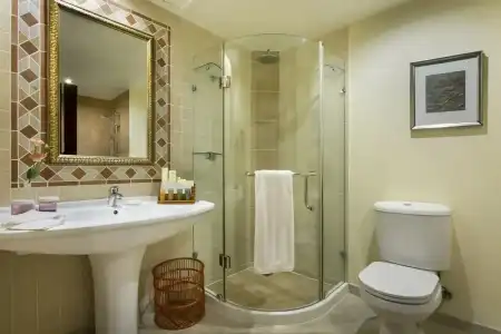 Grand Excelsior - 85