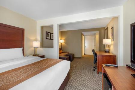 Comfort Inn & Suites SW Houston Sugarland - 43