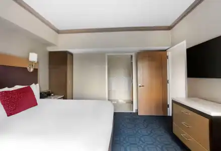 The Hilton Club - New York - 34