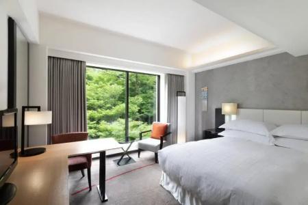 Sheraton Miyako Tokyo - 98
