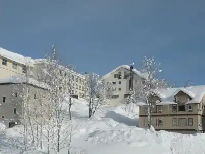 Niseko Park - 29