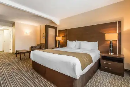 Comfort Suites Downtown - 20