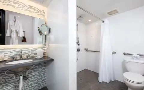 The Palms & Spa - 52