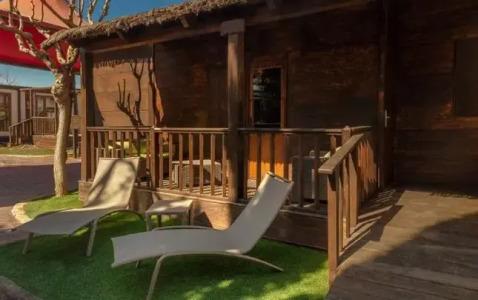 Magic Robin Hood - 114