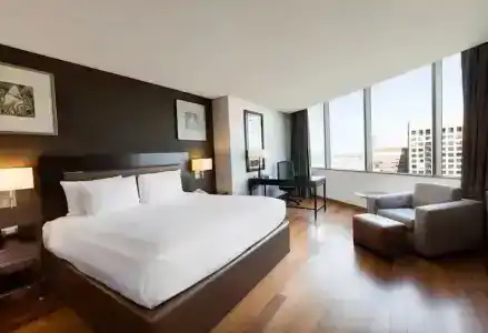 Hilton Mexico City Reforma - 78