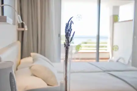 ApartHoum Plaza Son Rigo - 88