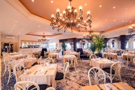 The Olive Tree - 14