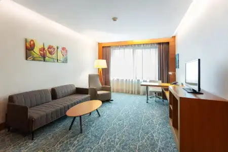 Holiday Inn BAKU by IHG - 55