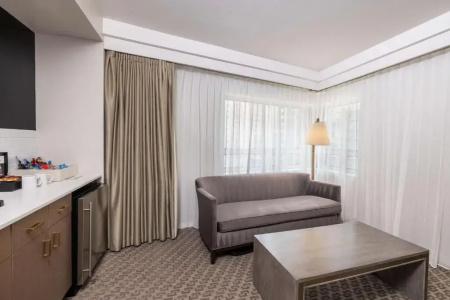 The Statler Dallas Curio Collection By Hilton - 58