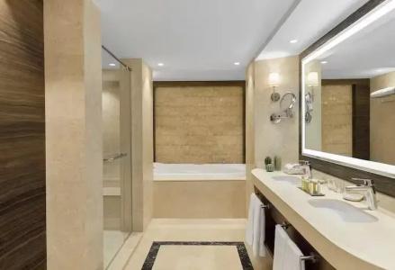 Ramses Hilton - 113