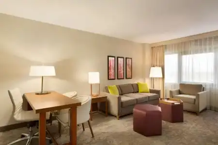 Embassy Suites by Hilton Phoenix Downtown North - 72