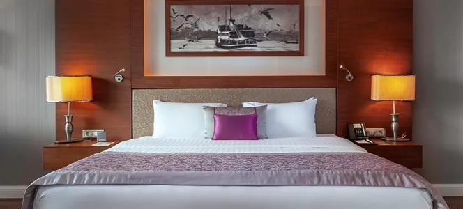 Dedeman Bostanci Istanbul & Convention Center - 60