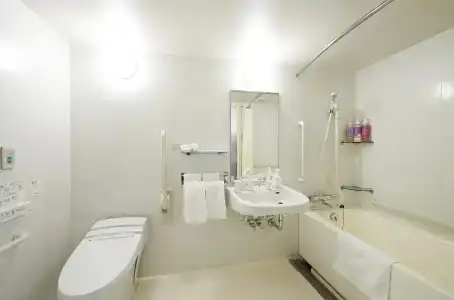 Sotetsu Fresa Inn Ochanomizu Jimbocho - 50