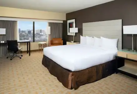 Hilton Los Angeles Airport - 84